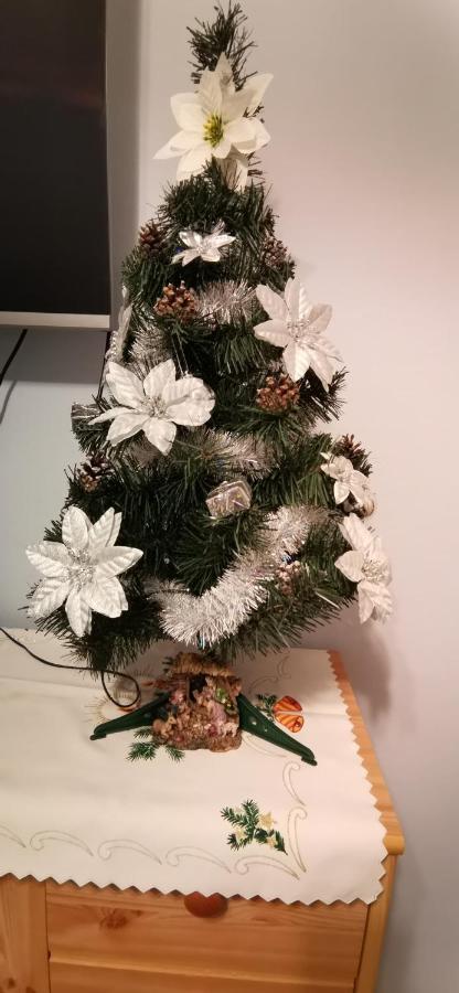 Apartament Milka W Dusznikach Zdroju Duszniki Zdrój Esterno foto
