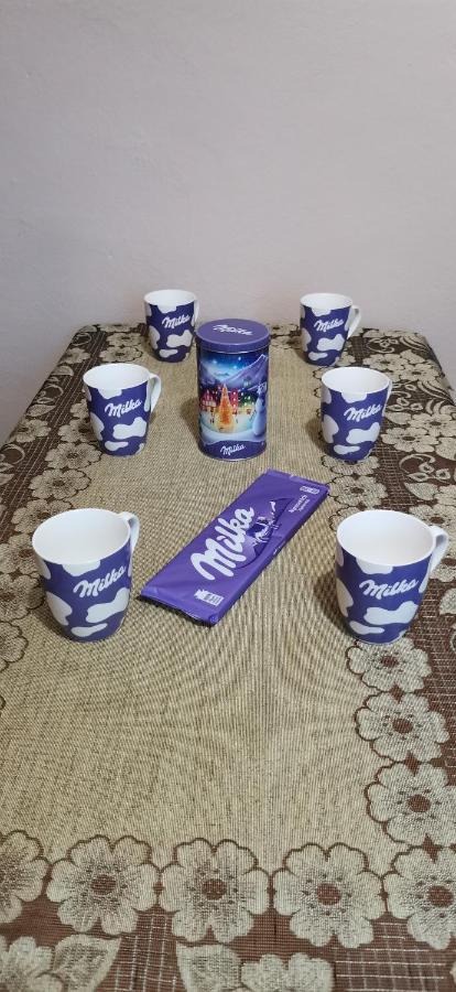 Apartament Milka W Dusznikach Zdroju Duszniki Zdrój Esterno foto
