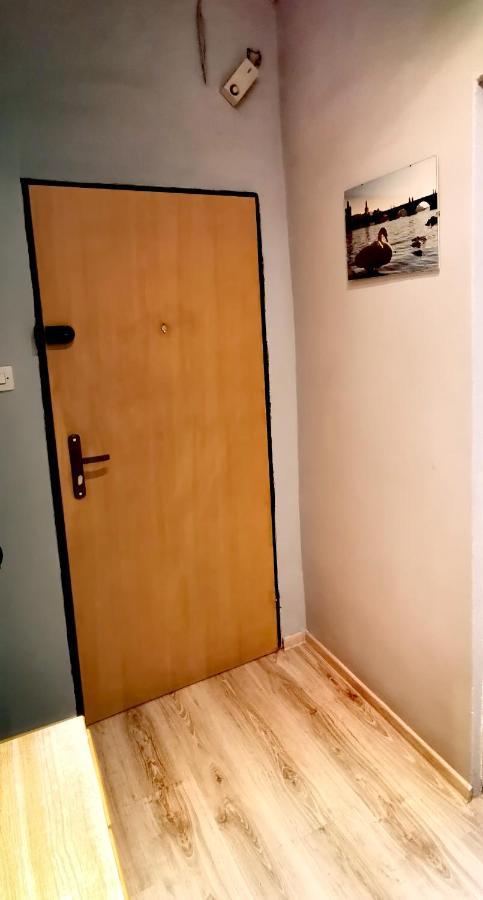 Apartament Milka W Dusznikach Zdroju Duszniki Zdrój Esterno foto