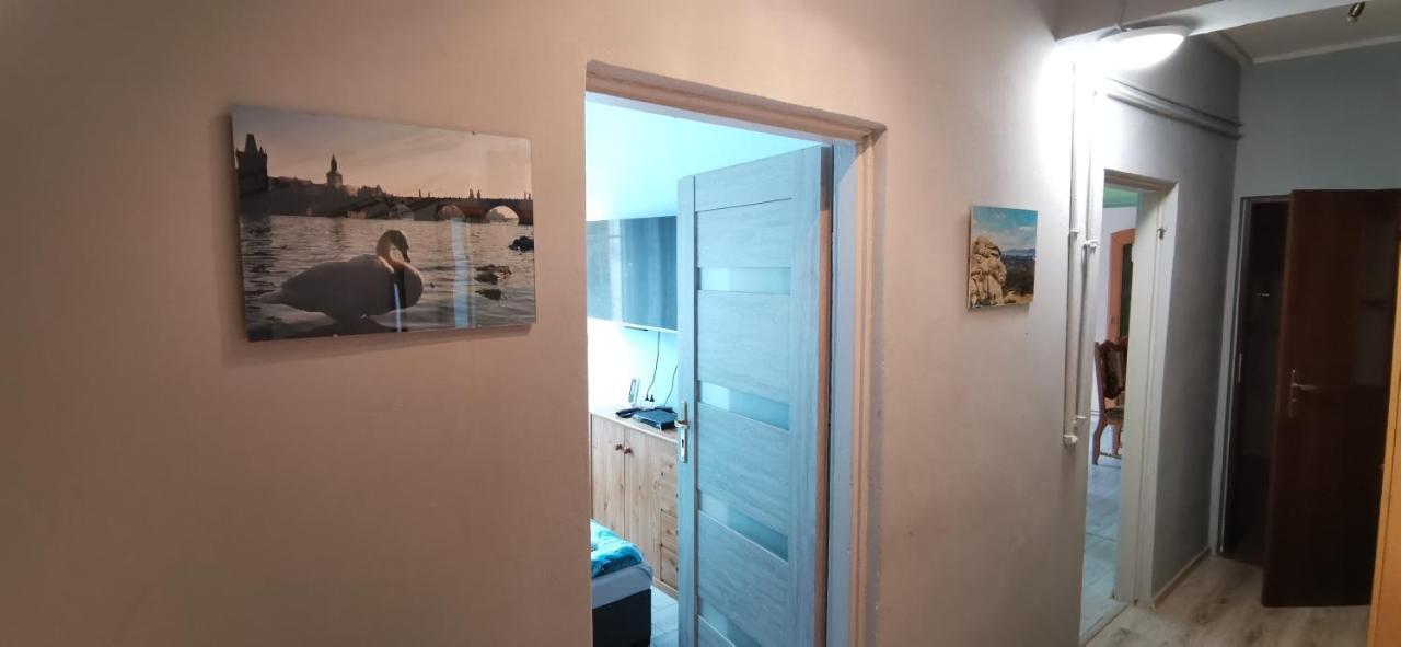 Apartament Milka W Dusznikach Zdroju Duszniki Zdrój Esterno foto