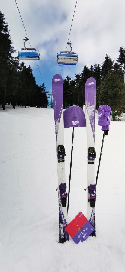 Apartament Milka W Dusznikach Zdroju Duszniki Zdrój Esterno foto