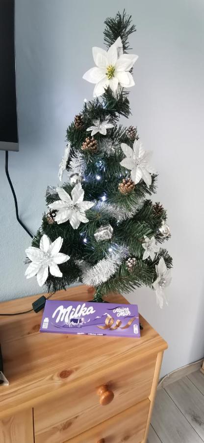 Apartament Milka W Dusznikach Zdroju Duszniki Zdrój Esterno foto