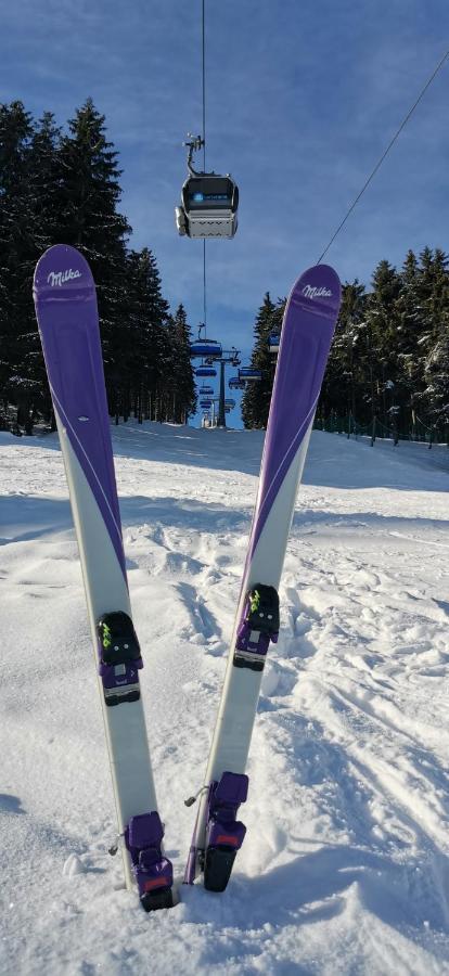 Apartament Milka W Dusznikach Zdroju Duszniki Zdrój Esterno foto
